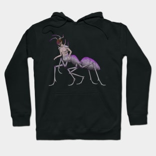 Robb-Ant Hoodie